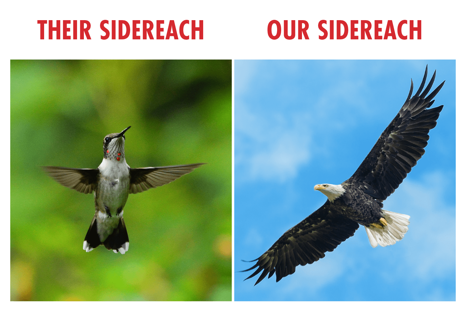 image analogy of sidereach to wingspans of hummingbird and eagle